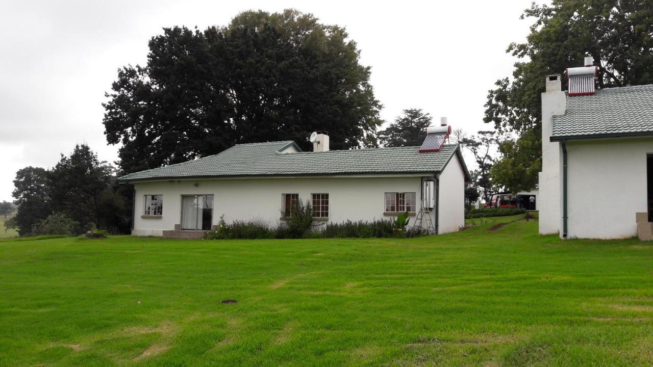Hoyo Hoyo Machadostud Lodge