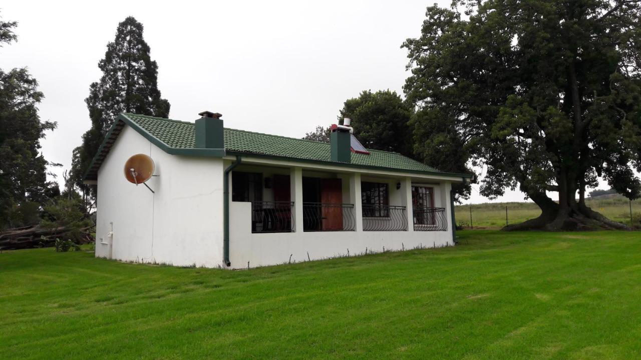 Hoyo Hoyo Machadostud Lodge Helvetia Noord